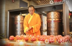 보리선수 진푸티 상사, 한국불자 만난다