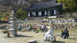 완주 옥련암, 산벚꽃 이쁜날 축제
