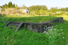 58. 제주도 성지순례 ④ 관음사-법화사-약천사