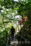 62. 영동 백화산 반야사-문수전-임천석대-저승골