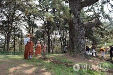 아산 대윤사, 문화재 형제송 산신제