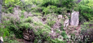 13. 충청남도 홍성군 상하리사지(上下里寺址) 1