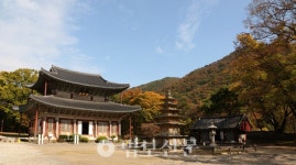 18. 무량사구지(無量寺舊址)