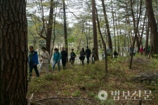 오대산 천년숲길서 벌어진 특별한 걷기 축제