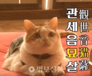[불교와 반려동물] 3. 불연으로 방송 탄 이색 동물들