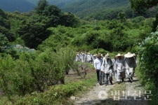 덕숭총림 수덕사, 반결제 산행·공승법회