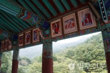 12.  의승군과 표충사