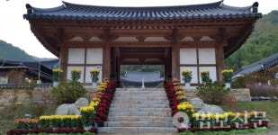 기장 장안사, 개산 1346주년 국화 향기를 품다