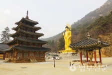 17. 속리산 법주사와 범란 이영재 스님