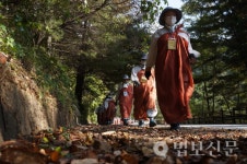 [자비순례 11일째]결사대중, 험준한 문경새재 이화령을 넘다