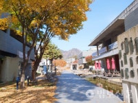 만해마을청소년수련원, 최우수 수련시설 선정