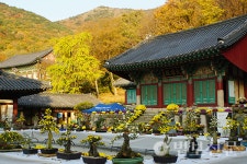 부산 운수사 주지 범일 스님