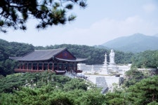 동화사, 시민단체와 팔공산 생태환경 훼손 막아냈다