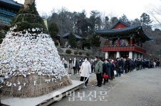 봉선사 코로나도 훨훨 태워버리자
