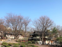 6. 봄 꽃 가득한 길상사