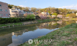 봉선사 기증 연꽃, 구리시에 연꽃공원으로 자리매김