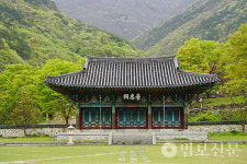 표충사 주지 진각 스님