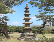 8. 창경궁에서 만난 두 석탑