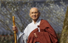 현대한국불교사 산증인 태공당 월주 대종사 입적