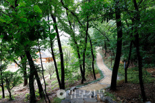 서울 봉은사 사찰림에 산책로 명상길 조성 회향