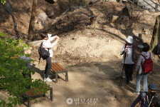 법흥사터 훼손 막을 근본 대책 필요…불교계·학계 한목소리