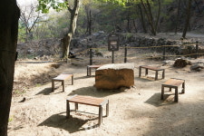 법흥사터 훼손 막을 근본 대책 필요…불교계·학계 한목소리