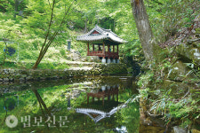 13. 옛 스님들의 피서지 수석정