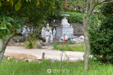 순천 신광사, 20m 거리 도로공사로 발파·벌목 피해