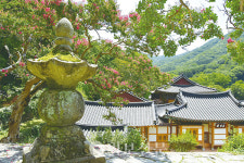 14. 송광사는 이제 막 개화하기 시작