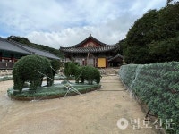 부산경남 사찰, 태풍 힌남노 대비 철저…우려보다 피해 적어