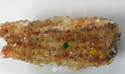 한국 최초 만불사리 전시 개최