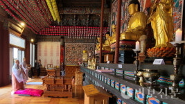 하동 쌍계사, 선다(禪茶)의 정맥 잇는 차문화 대축전 봉행