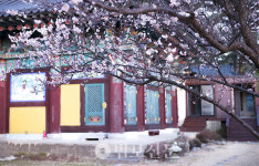 범어사 전 승가대학장 용학 스님