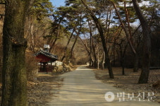 33기도순례단, 해동제일지장도량 고운사서 정진