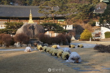 나를 낮추고 부처님께 더 가까이 봉녕사 출가학교 여행자들의 1보1배