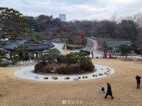 나를 낮추고 부처님께 더 가까이 봉녕사 출가학교 여행자들의 1보1배