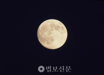26. 타자의 주검[尸骸]에 의한 논증