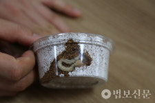밀양 표충사, 멸종위기종 비단벌레 보호 위해 숲속의작은친구들과 MOU