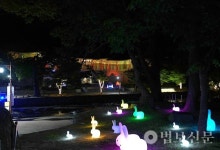 영축총림 통도사, 부처님오신날 맞아 8730만 원 자비나눔