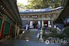 부산 마하사, 응진전 영산회상도 복장유물서 진신사리 발견