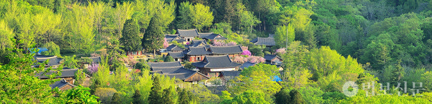 조계산 선암사 주지 승범 스님