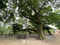 홍성 석련사 주지 경보 스님