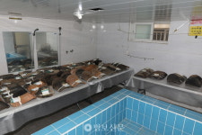 경북 산불로 전소된 고운사 연수전·가운루 등 정밀조사 완료