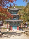 소실 후 원형 복원 화순 쌍봉사 대웅전, 보물 재지정 추진