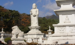 동화사 주지 조기 선거설…총림 해제 사태 분기점 될까