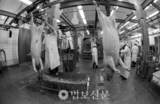 살육의 시대, 연기법과 공양의 의미를 되묻다