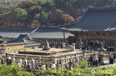 동국대 와이즈캠, 불적순례로 건학이념 되새겨