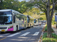 한라수목원 입구 가득 채운 전세버스 눈살
