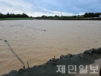 썩고 쓰러지고…제주 기록적 폭우에 농작물 피해 속출