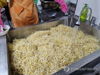 콩나물, 중국산 콩으로 재배해도 국산이 될 수 없다